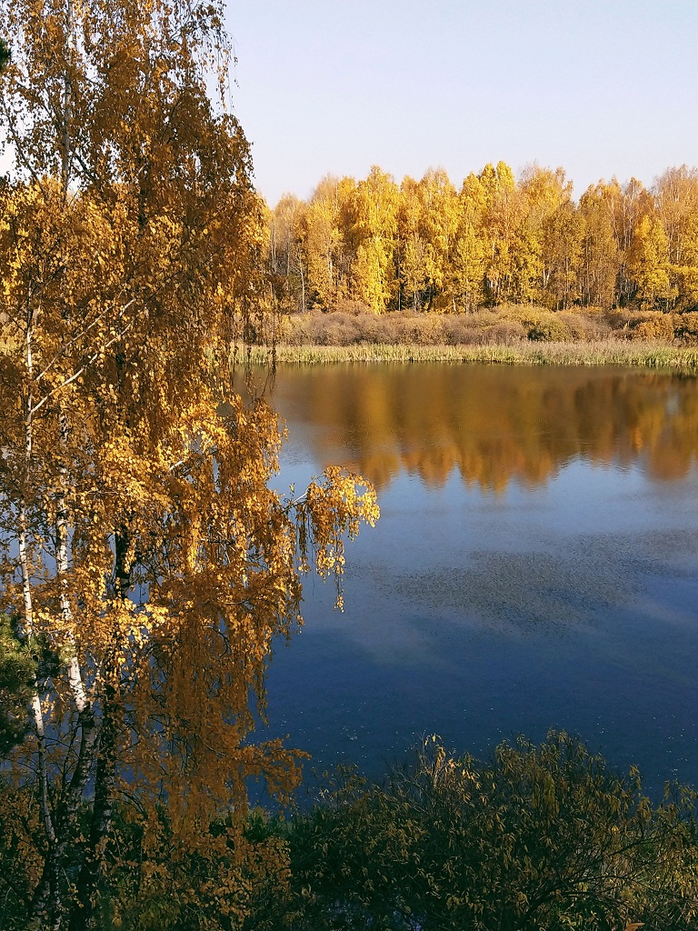 Результаты поиска