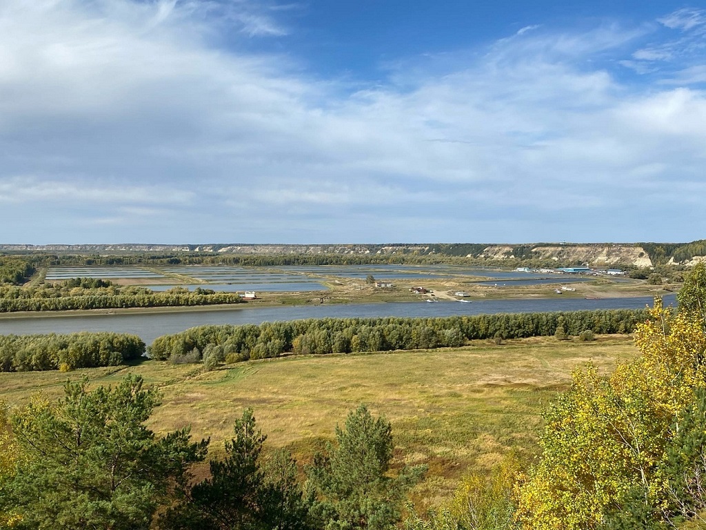 Результаты поиска